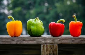 Мэгуми хаясибара, тору фуруя, коити ямадэра и др. So Klappt S Mit Der Paprika 5 Tipps Furs Gewachshaus Willkommen In Franks Kleinem Garten