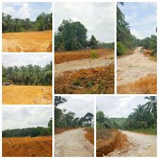 Harga rp 390 juta are. Tanah Lot Kg Limau Manis Putrajaya Utk Dijual Rm470k Perunding Hartanah Anda Call Whatapp Hj Zainie 0166315458