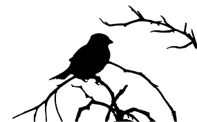 Walaupun burung cililin termasuk ke dalam spesies burung gagak gagakan namun burung ini sangat mudah mengalami bad mood. Svg Siluet Burung Imej Ikon Svg Percuma Svg Silh