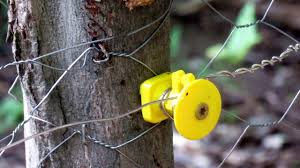 Maybe you would like to learn more about one of these? Solar Powered Electric Fence For Your Garden To Keep The Critters Out Youtube