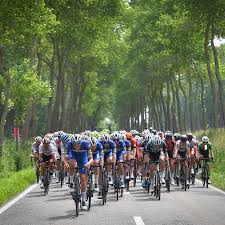 Aus wikipedia, der freien enzyklopädie. Elfstedenronde Deceuninck Quick Step Cycling Team