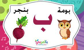 كلمات تبدأ بحرف الباء ب اسم حيوان نبات جماد بلاد بحرف ب بالعربي نتعلم