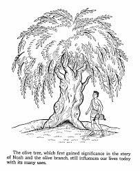 Bible Life And Times Coloring Pages Olive Tree 15 Coloring Pages Bible Verse Coloring Bible Printables