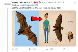 What size bat for 5 year old. Photos Of Human Sized Bat From Philippines Blow Up The Internet Gulftoday