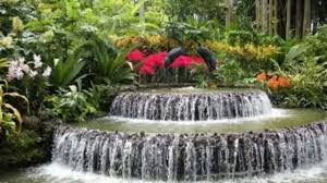 (3) free parking for buses with a group reservation. Jardin Botanico En Acapulco Youtube