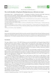 Image result for Stephania cyanantha