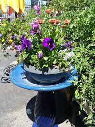 Winter is on its way and its time to stock up at your locally owned ace hardware. Our Garden Center Is Growing Marin Ace Hardware San Rafael Ca
