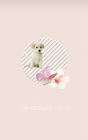 (the instruction how to unzip the file is included) the lifestyle dog highlight cover set comes with 32 ready to use instagram icons plus you get a file with 32 png illustrations with transparent background so you can edit the background color to suit your 46 Pink Highlights Covers With Realistic Icons Free Highlights Covers For Stories