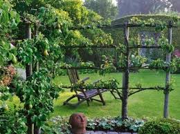 Mylittlebox2 Pentydeval Via Jardin Garden Cottage Garden Potager Garden Dream Garden