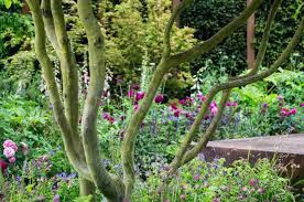 Chelsea Barracks Garden Rhs Chelsea Flower Show Jo Thompson Garden Designer Garden Design Flower Show Chelsea Flower