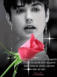 Rosa elvia Rios (riosrosaelvia)