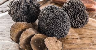 Check spelling or type a new query. On The Trail Of Truffles Affordable Mallorca