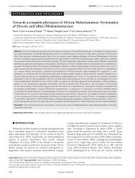 Image result for Dissotis melleri