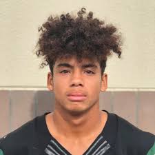 Thaddeus Singleton's Monterey Trail High School Career Home