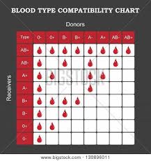 Blood Type Vector Photo Free Trial Bigstock