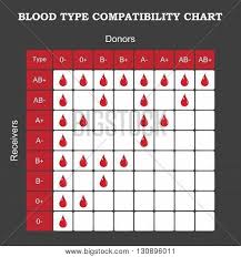 blood type vector photo free trial bigstock