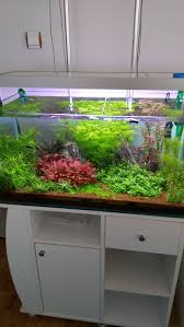 80x40x40 Bitki Dunyam