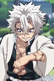 Sanemi shinazugawa is a demon slayer and the wind hashira of the demon slayer corps. Demon Slayer Kimetsu No Yaiba Shinazugawa Sanemi Cosplay Wig Fairypocket Wigs