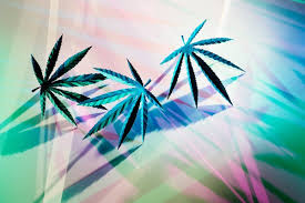 Maybe you would like to learn more about one of these? Is Cannabis Good Or Bad For Mental Health Scientific American Blog Network