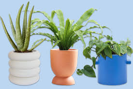 Flower and plant pots, baskets and window boxes are the ideal choice for homeowners with limited outdoor space to grow and cultivate plants, trees, flowers, fruit and vegetables. 23 Affordable Indoor Planters We Love Architectural Digest