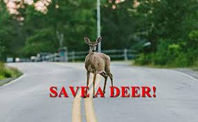 Well, obviously deer whistles do not work when they are either not installed or not installed properly. Dutison 4 Pcs Deer Whistle For Car Deer Warning Devices For Vehicles Motorcycles Save A Deer