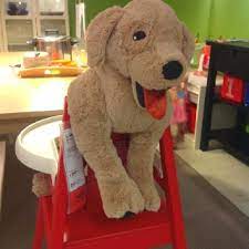 lovely dog at ikea thailand