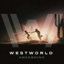 Download torrent safely and anonymously with cheap vpn : Westworld Awakening Torrent Archives Igg Games