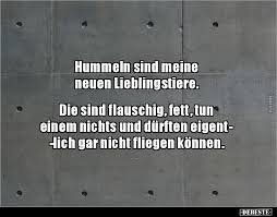 Wo ich lieber spielen würde? Hummeln Sind Meine Neuen Lieblingstiere Lustige Bilder Spruche Witze Echt Lustig