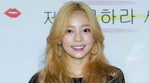 TV Host Andy Trieu Speaks About K-Pop Star Goo Hara's Death And How Fans  Have Reacted