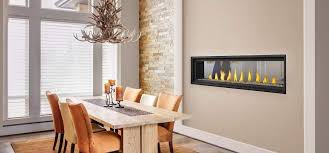 Napoleon vector clipart and illustrations (672). Napoleon Vector 62 See Thru Direct Vent Gas Fireplace Lv62n2 Flame Authority