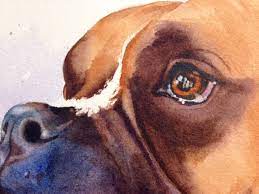 Once you master the art of painting dog portraits, consider the possibilities. Paint Your Pup Create Artistic Watercolor Pet Portraits Craftsy