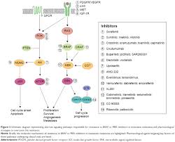 Image result for MEK Inhibitor