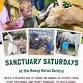 Sanctuary Saturday – 12th September 2026