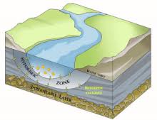 Riparian habitat means land adjacent to water bodies, as well as submerged land such as streambeds, which can provide functional habitat for salmonids and other fish and wildlife species. Hyporheic Zone Wikipedia