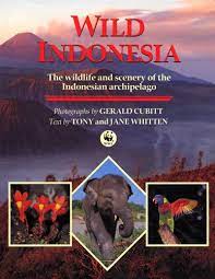 Play a word game to learn and practise wild animals vocabulary. Wild Indonesia The Wildlife And Scenery Of The Indonesian Archipelago Whitten Tony Whitten Jane Cubitt Gerald Amazon De Bucher