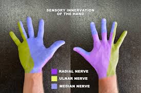 Image result for Hand Exam