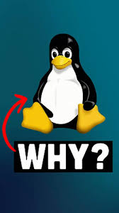 Image result for new linux penguin