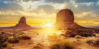 Image result for Terrarium Cling Background