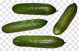Learn a unique way to get rid of squash bugs organically, without needing to use any sprays. Vegetable Cucumber Gourd And Melon Family Cucumber Scarlet Gourd Cucumis Zucchini Spreewald Gherkins Transparent Png