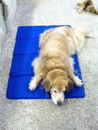We believe in helping you find the product that is right for you. 51 Best Dog Cooling Mat Ideas Dog Cooling Mat Dog Cooling Pad Pets