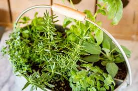 Container Herb Gardens Herb Garden Ideas Family Food Garden
