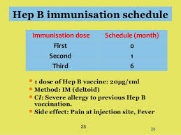 Program Hepatitis B Di Kalangan Anggota Kkm