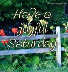 30 happy and funny saturday quotes with images funny saturday quotes is the most amazing collection of weekend quotes to remove the stress of busy working days. Funny Saturday Quotes And Sayings For Facebook Good Morning Fun