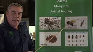 Protect them with a customized residential pest control plan from pest control solutions, inc. All Seasons Pest Control The Pest Control Company You Keep Home