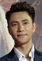 Fa fa ying king (2008)