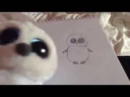 (i am not a professional quiz creator relax!) when your results are shown the beanie boo you are will say something about themself and there birthday and what they think of you ( all i can think of is. How To Draw A Ty Beanie Boo Drawing Tutorial By Poppy Youtube