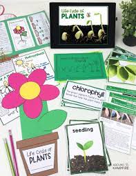 Plant Life Cycle Activities For Kids Complete Science Teaching Unit Study For 1st 2nd And 3rd Grade Plant Life Cycle Plants Life Cycle Activities Life Cycles