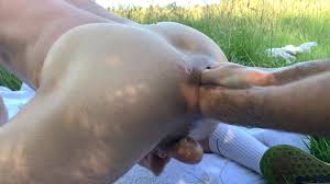 Fisting a mare