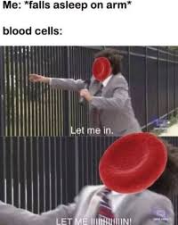 Pin On Funny Pictures