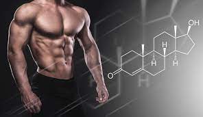 Anabolika Nebenwirkungen Und Folgen Men S Health